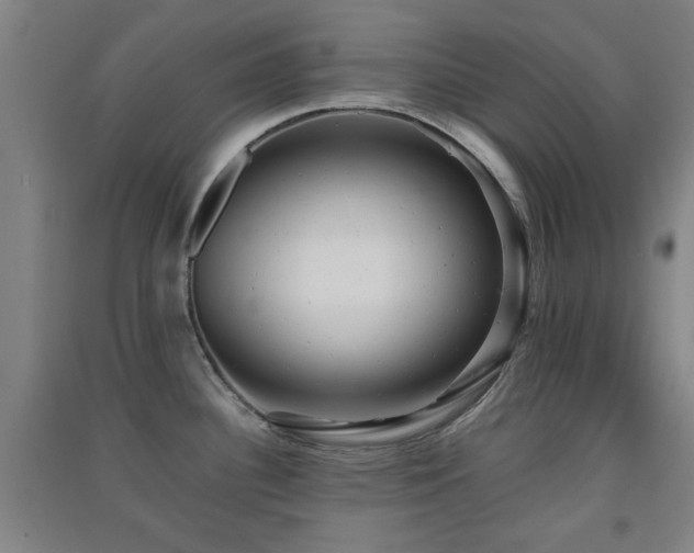 X0000091551340200708171258