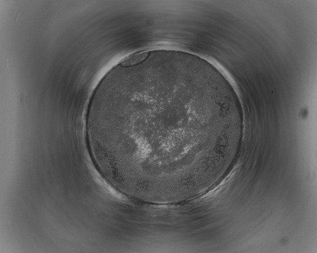 X0000091551341200708171258
