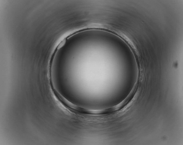 X0000091551342200708171258