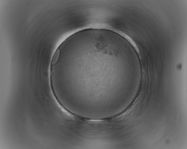 X0000091551343200708171258