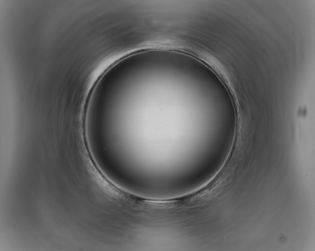 X0000091551344200708171258