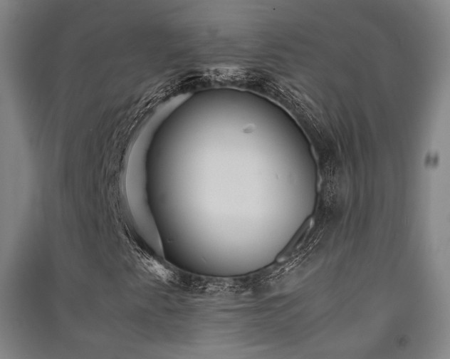 X0000091551345200708171257