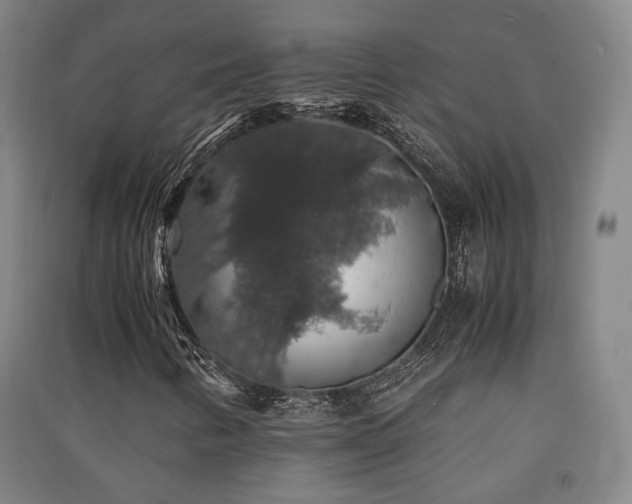 X0000091551346200708171257