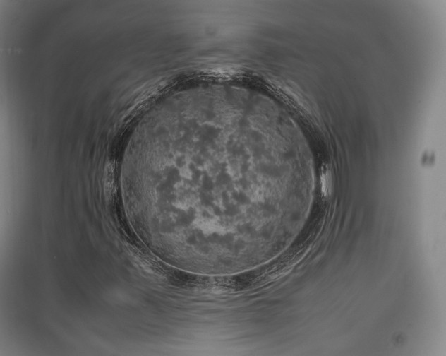 X0000091551347200708171257