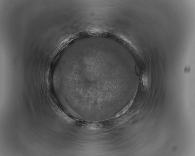 X0000091551348200708171257