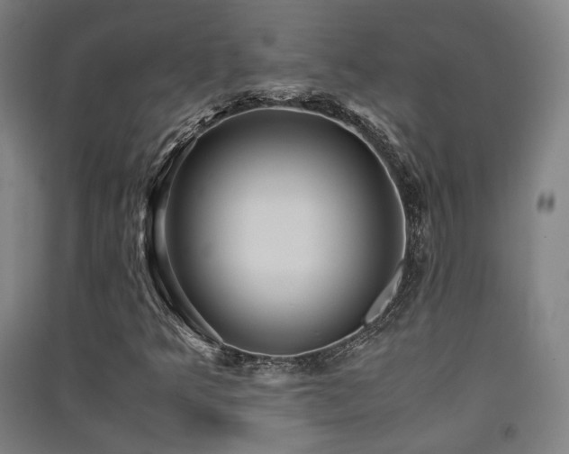 X0000091551349200708171257