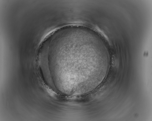 X0000091551352200708171257