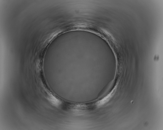 X0000091551353200708171257