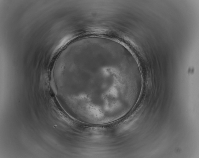 X0000091551354200708171257