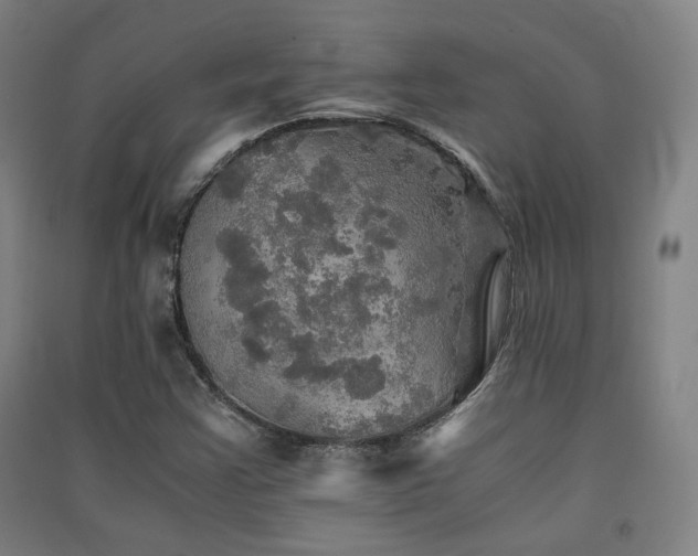 X0000091551355200708171257