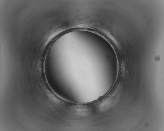 X0000091551356200708171257