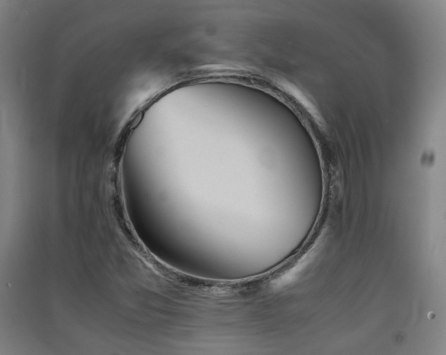 X0000091551357200708171257