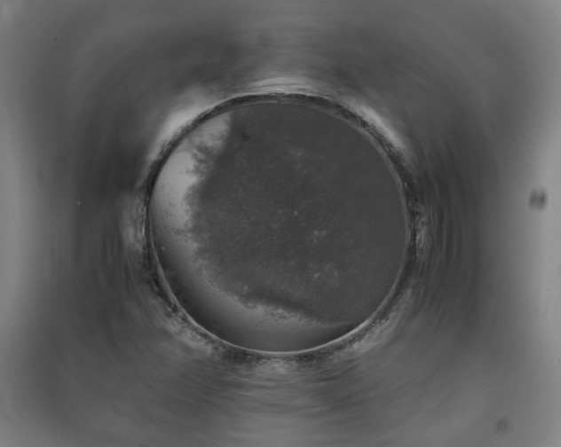 X0000091551358200708171257