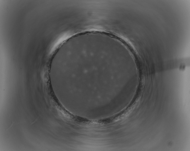 X0000091551359200708171257