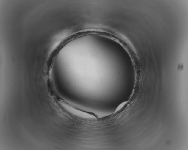 X0000091551360200708171257