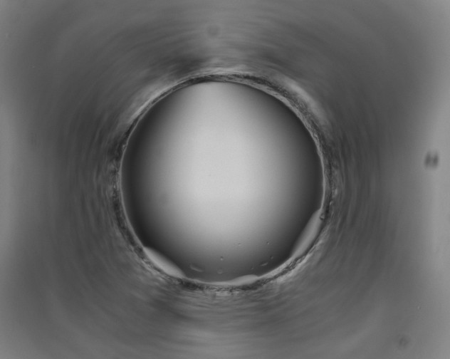 X0000091551361200708171257