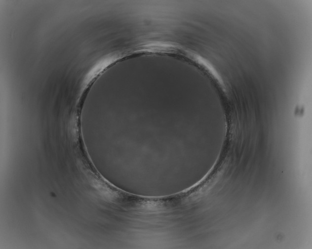 X0000091551362200708171257