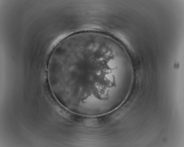 X0000091551363200708171257