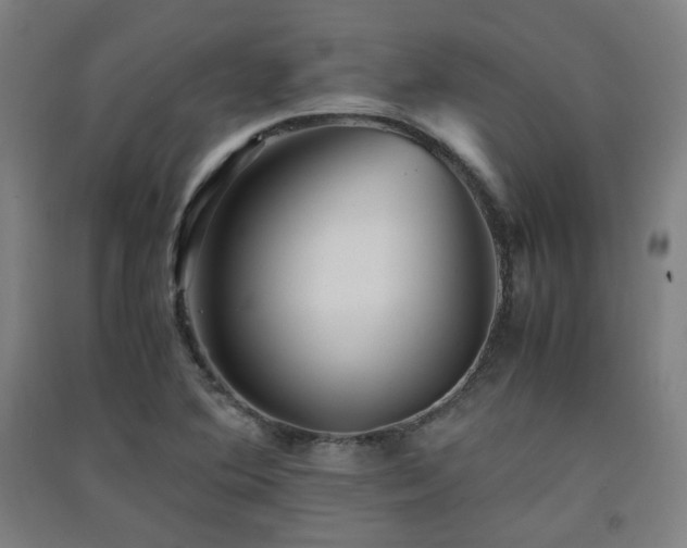 X0000091551364200708171257