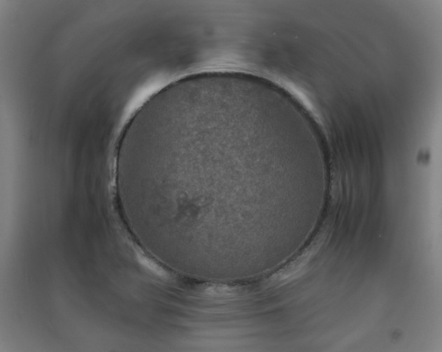 X0000091551366200708171257