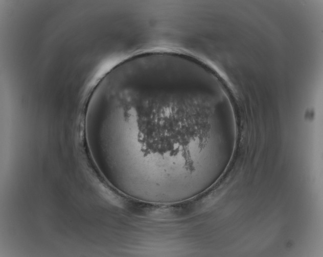 X0000091551367200708171257