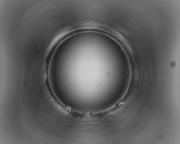 X0000091551368200708171257