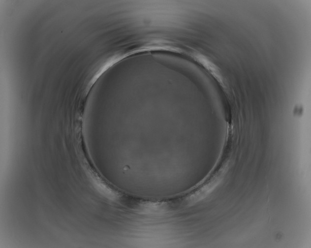 X0000091551369200708171257