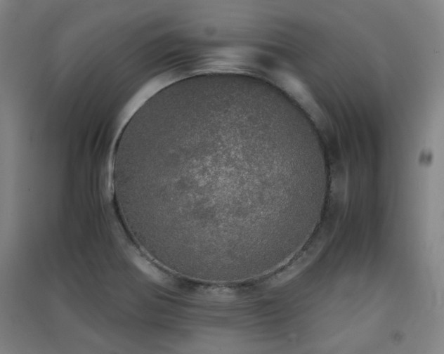 X0000091551370200708171257