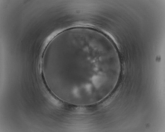 X0000091551371200708171257