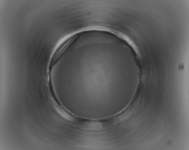 X0000091551372200708171257