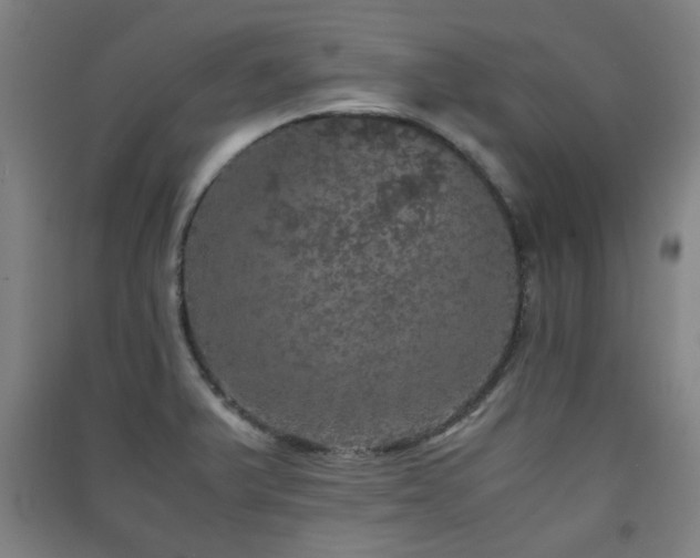 X0000091551375200708171257