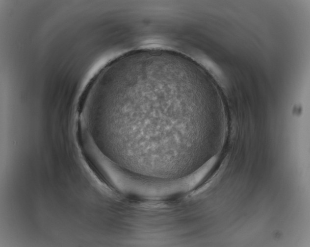 X0000091551376200708171257