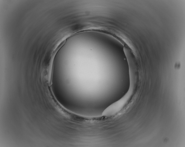 X0000091551377200708171257
