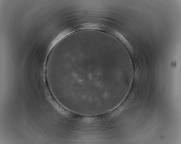 X0000091551378200708171257