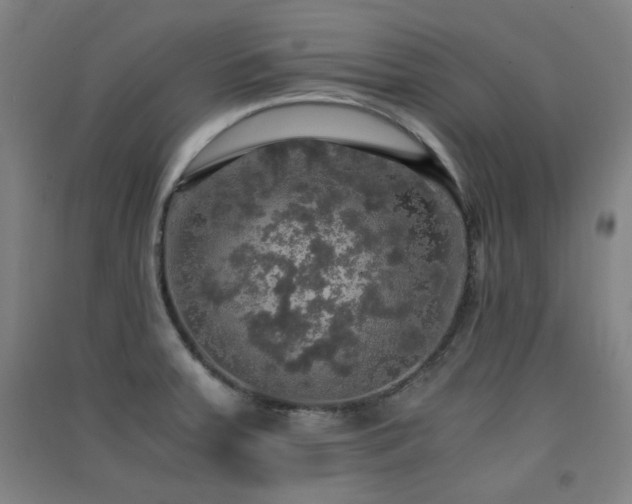 X0000091551379200708171257