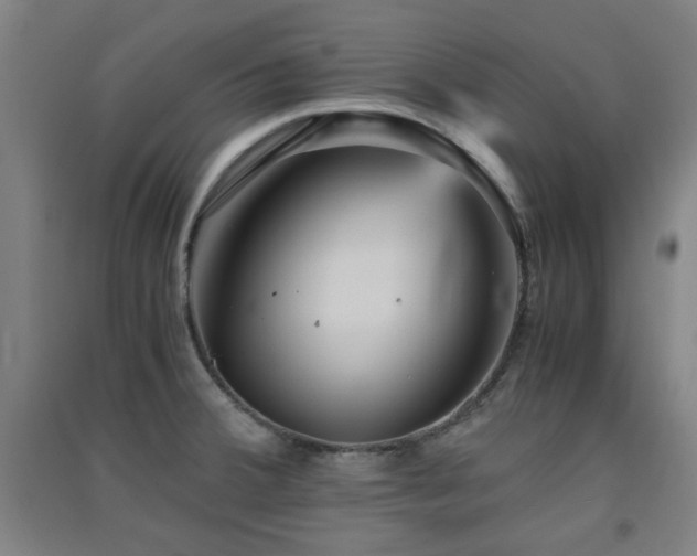 X0000091551380200708171257
