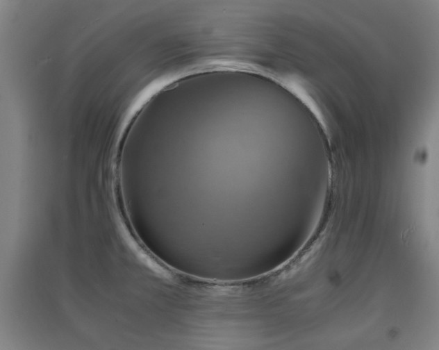 X0000091551381200708171257