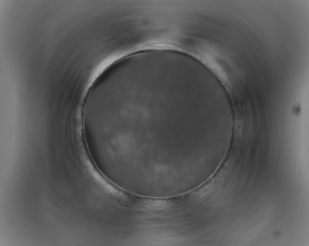 X0000091551382200708171257