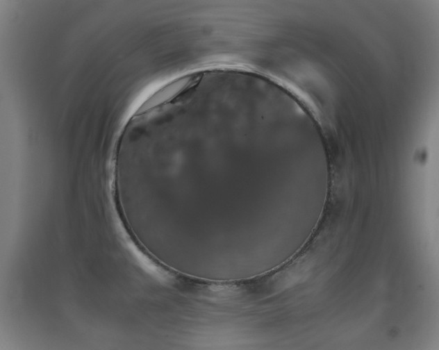 X0000091551383200708171257