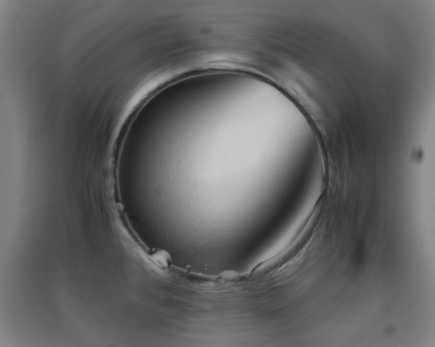 X0000091551384200708171257
