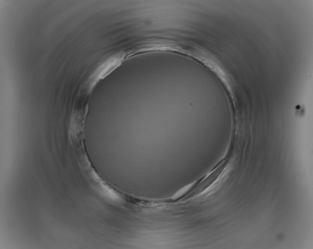 X0000091551385200708171257