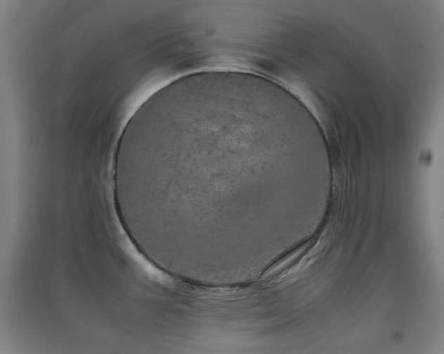 X0000091551387200708171257