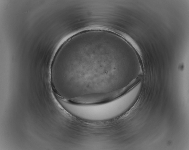 X0000091551388200708171257