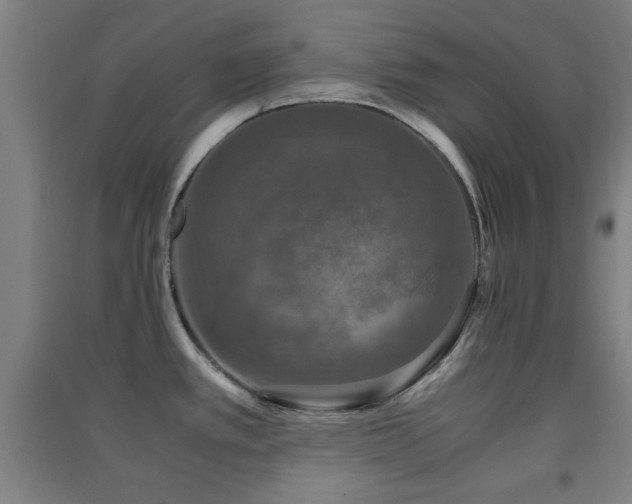 X0000091551389200708171257