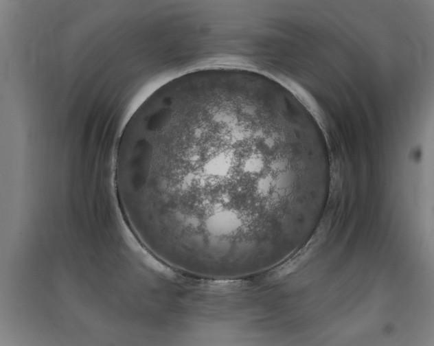 X0000091551390200708171257
