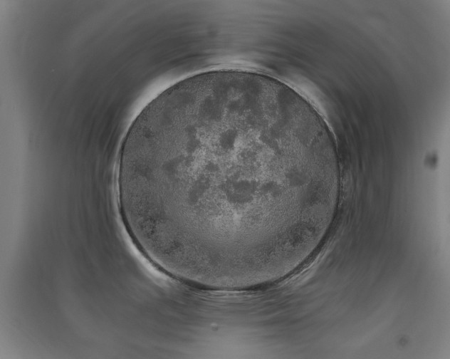 X0000091551391200708171257