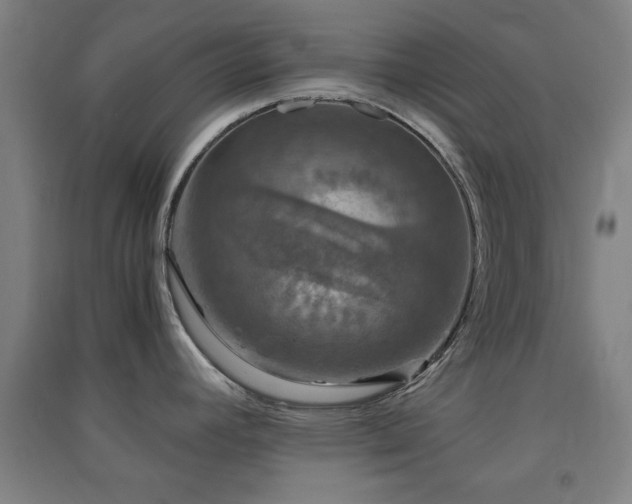 X0000091551392200708171257