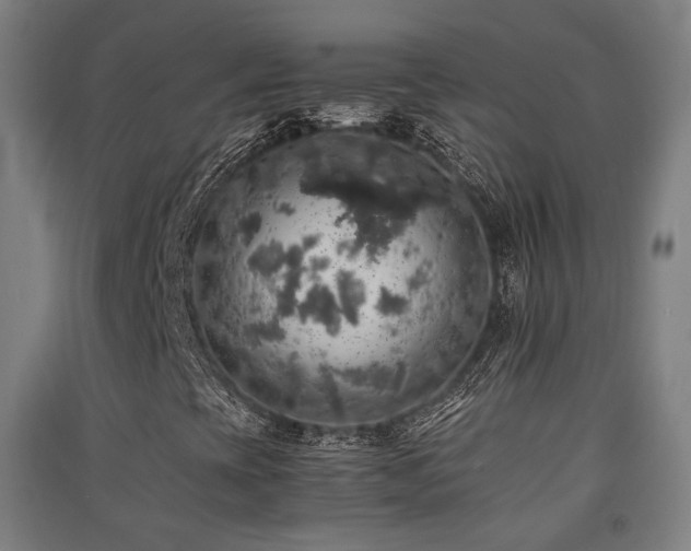 X0000091551393200708171256