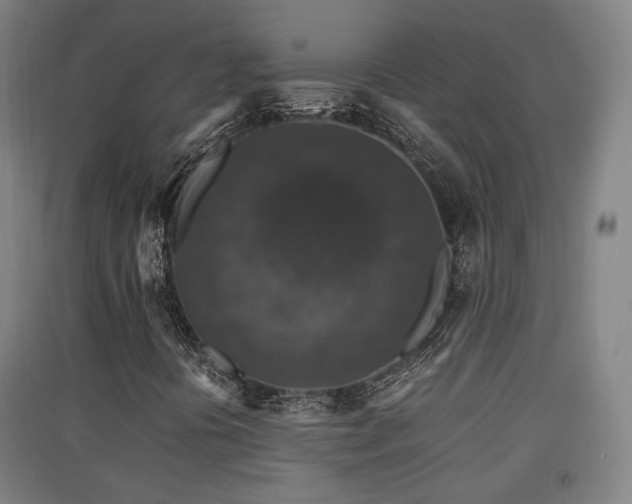 X0000091551394200708171256