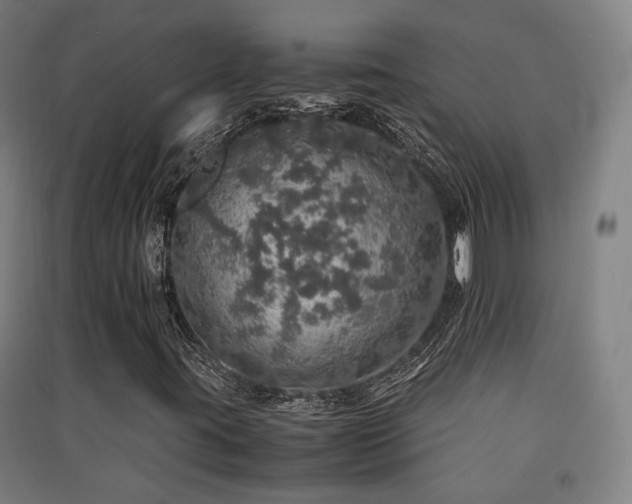 X0000091551395200708171256